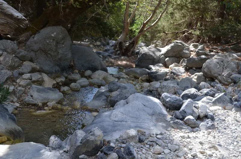 From Chania: Samaria Gorge Hike with Local Mountain Guide - Scenery, wildlife, and spring-water breaks for photos