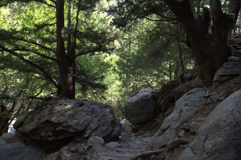From Chania: Samaria Gorge Hike with Local Mountain Guide - Price and value: what $36 includes and what costs extra