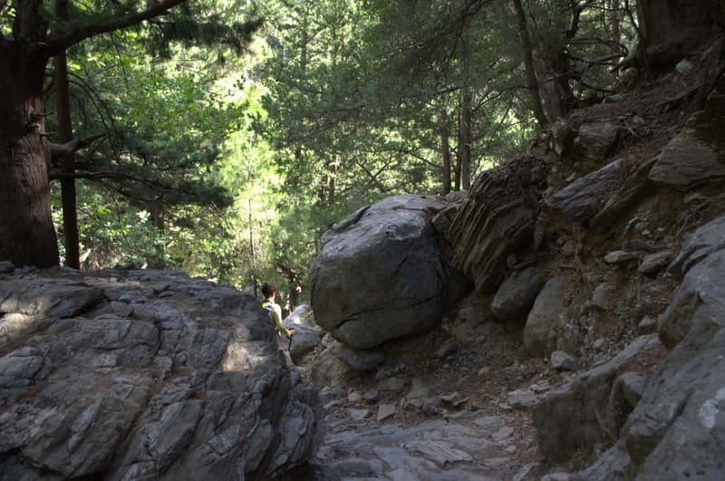 From Chania: Samaria Gorge Hike with Local Mountain Guide - Who should book it (and who should think twice)