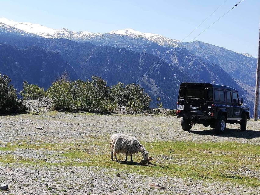 From Chania: White Mountains Land Rover Safari - From Chania to the White Mountains: why a 4WD day makes sense