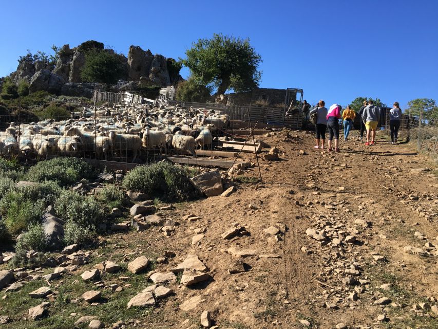 From Chania: White Mountains Land Rover Safari - The coffee stop and mountain tea break: small pause, big payoff