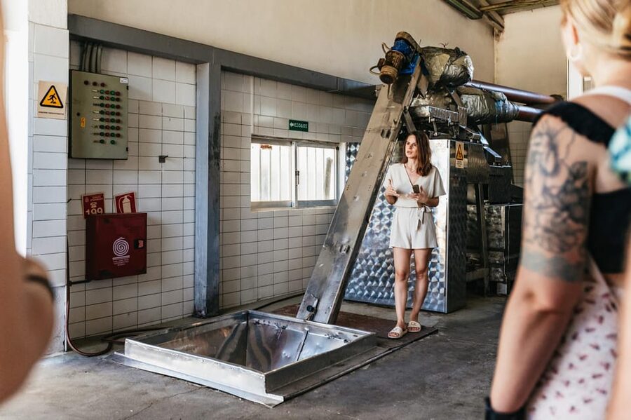 From Chania: Wine and Olive Oil Tasting Tour with Snacks - Olive Oil Factory Tour: How Extra Virgin Actually Gets Made