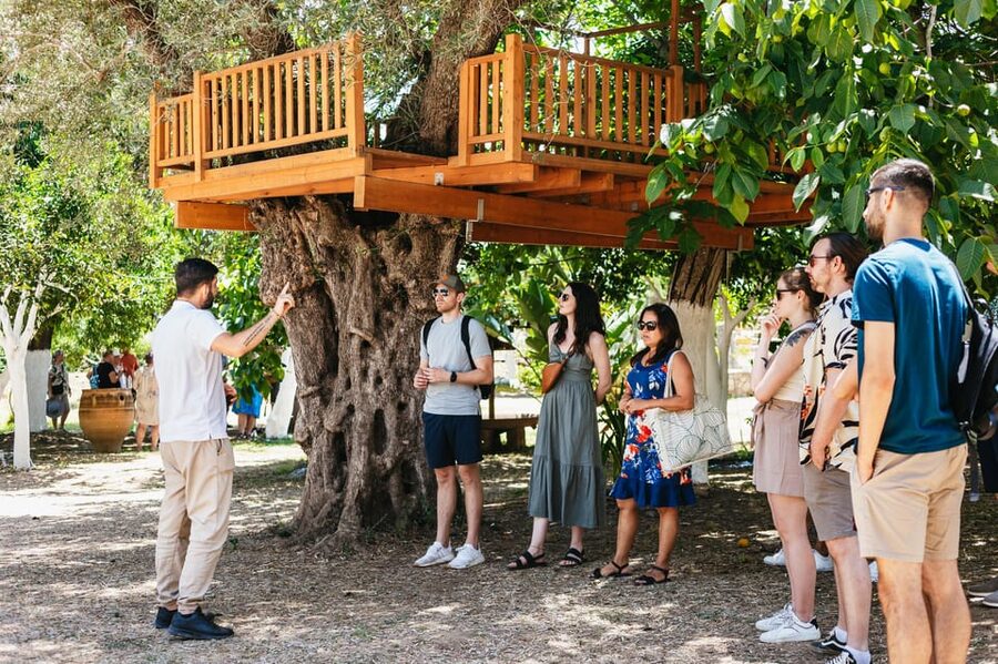 From Chania: Wine and Olive Oil Tasting Tour with Snacks - Getting from Chania to Kissamos: The Air-Conditioned Start You’ll Appreciate