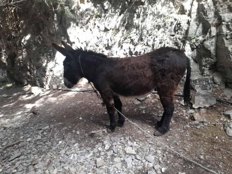 From Georgioupoli: Easy Hiking Day-Trip to Imbros Gorge - Imbros Gorge walk: 8 km, photo stops, and what easy means in practice
