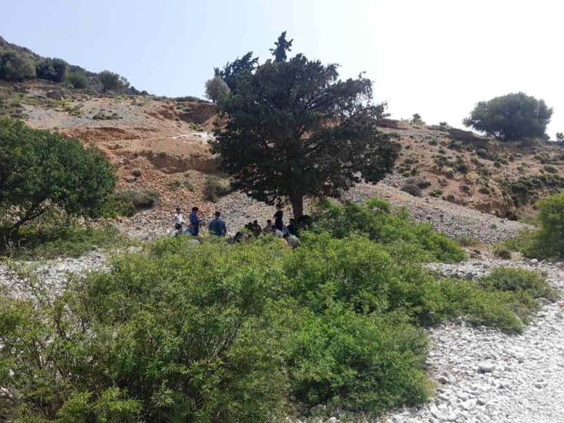 From Georgioupoli: Easy Hiking Day-Trip to Imbros Gorge - After the gorge: the tavern reset and why it improves the mood