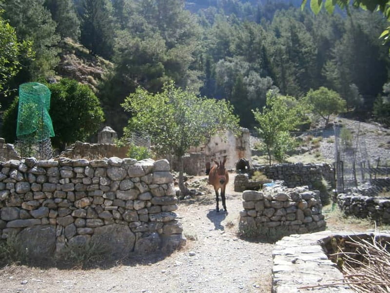 From Georgioupolis: Roundtrip Transfer to Samaria Gorge - A 17km gorge hike that still feels well organized
