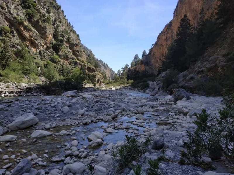 From Georgioupolis: Roundtrip Transfer to Samaria Gorge - Nature you might actually spot: Kri-Kri and the numbers that matter