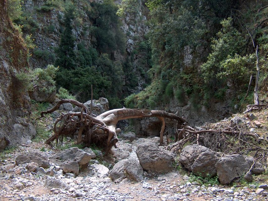 From Heraklion: Imbros Gorge and Libyan Sea Guided Day Trip - Price and Value: What $53 Buys (and What It Doesn’t)