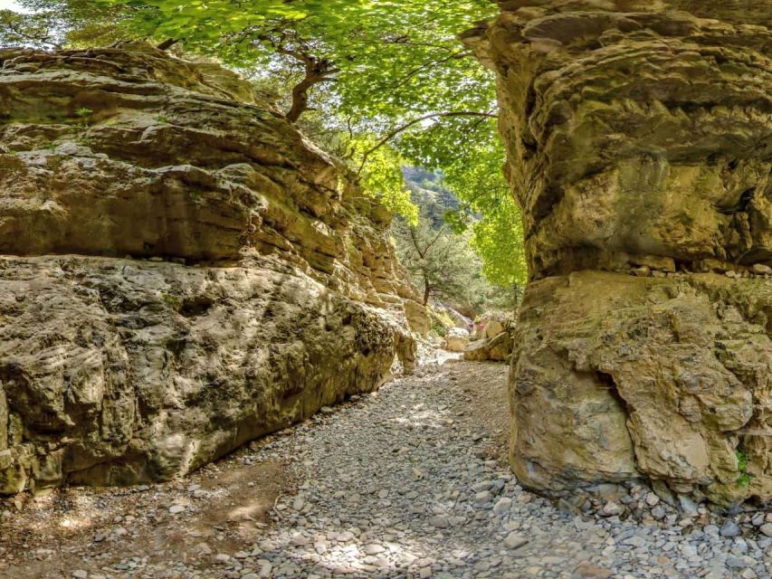 From Heraklion: Imbros Gorge and Libyan Sea Guided Day Trip - Lunch on the South Coast: Traditional Food, Limited Time