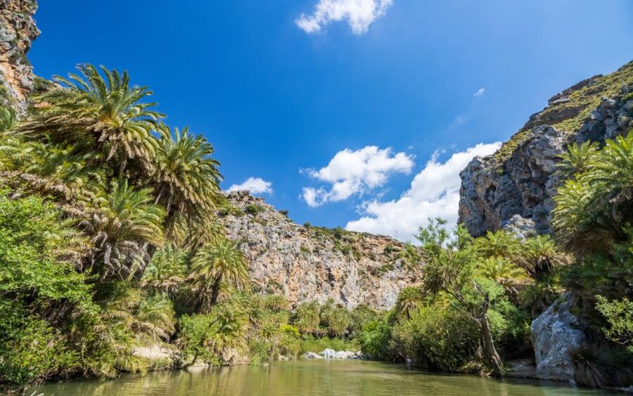 From Heraklion: Preveli Tropical Beach & Palm Forest Hike - Why Preveli’s river-meets-sea palm forest feels different