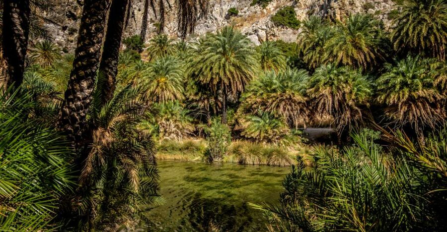 From Heraklion: Preveli Tropical Beach & Palm Forest Hike - Getting creative (safely) with water activities