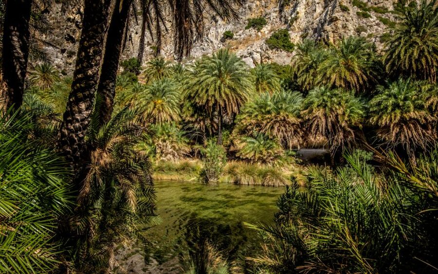 From Heraklion: Preveli Tropical Beach & Palm Forest Hike - Price and value: why $54 can be fair here