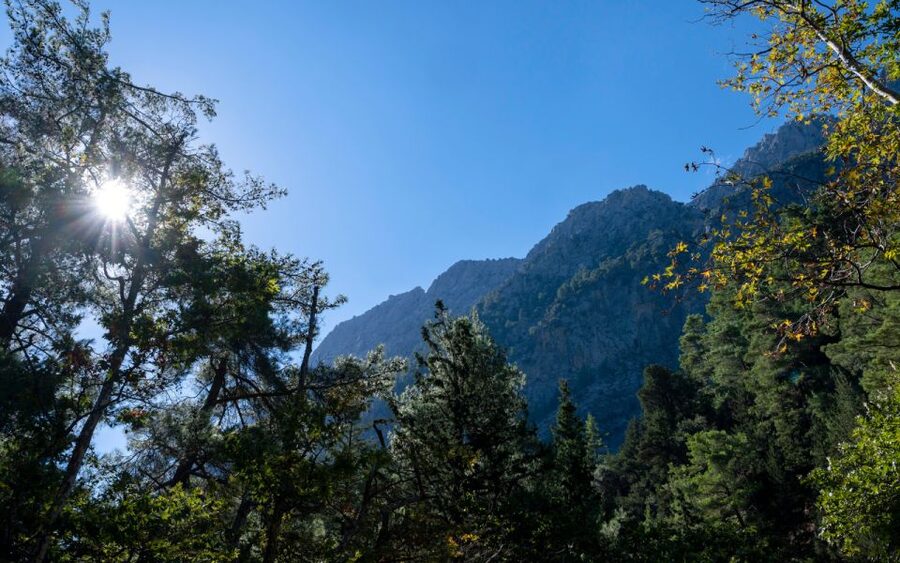 From Heraklion: Samaria Gorge Full-Day Guided Hiking Tour - What to pack so you don’t suffer (too much)