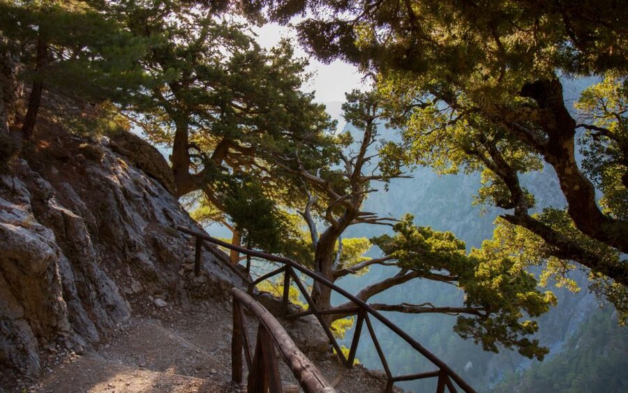 From Heraklion: Samaria Gorge Full-Day Guided Hiking Tour - Inside Samaria Gorge: 16 km of mixed trail and calf payoff