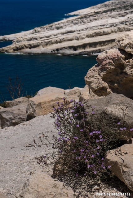 From Rethymno: Day trip to MATALA - AG.GALINI - SPILI - Key Things That Make This Day Trip Worth Your Time