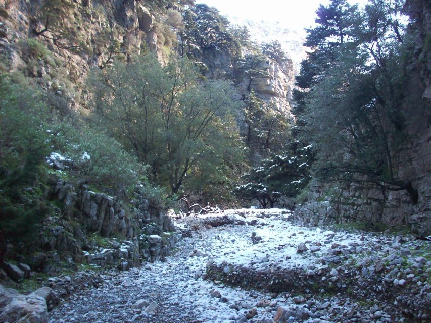 From Rethymno: Imbros Gorge & Libyan Guided Sea Tour - From Rethymno at 7:30 AM: getting to the White Mountains