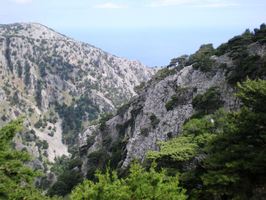 From Rethymno: Imbros Gorge & Libyan Guided Sea Tour - Who this hike fits best (and who should skip it)