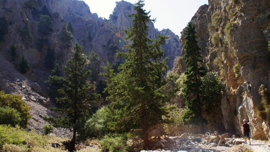 From Rethymno: Imbros Gorge & Libyan Guided Sea Tour - Price and value: what you’re really paying for