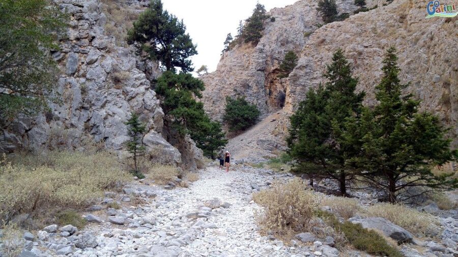 From Rethymno: Imbros Gorge & Libyan Guided Sea Tour - The day’s pacing: when you’ll feel it most