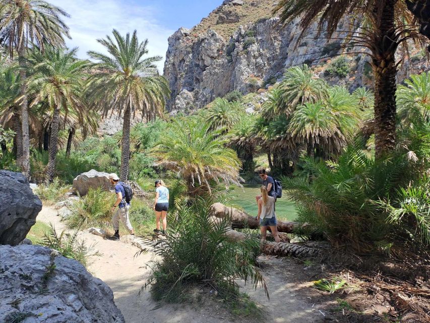 From Rethymno: Kourtaliotiko, Preveli Palm Beach, & Damnoni - Kourtaliotiko Gorge Waterfalls: The Best Views Come With Rules