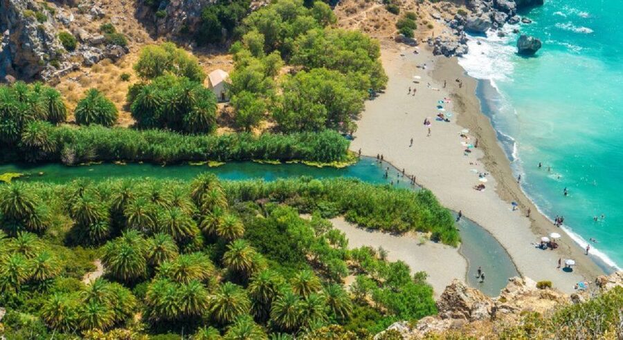 From Rethymno: Preveli Palm Beach and Kourtaliotiko Day Trip - Key highlights worth planning for