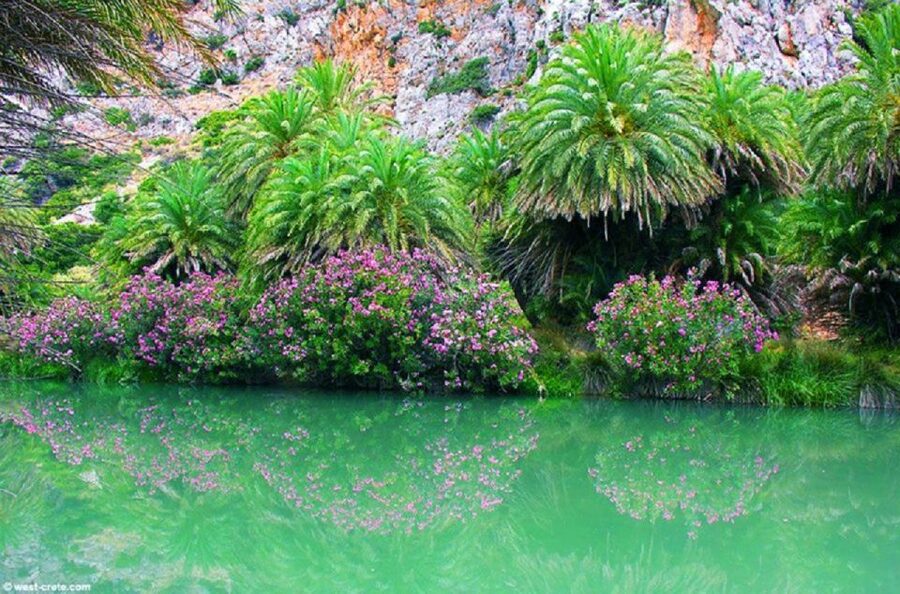 From Rethymno: Preveli Palm Beach and Kourtaliotiko Day Trip - Value: $25 for the bus and guide, plus the extras you should budget