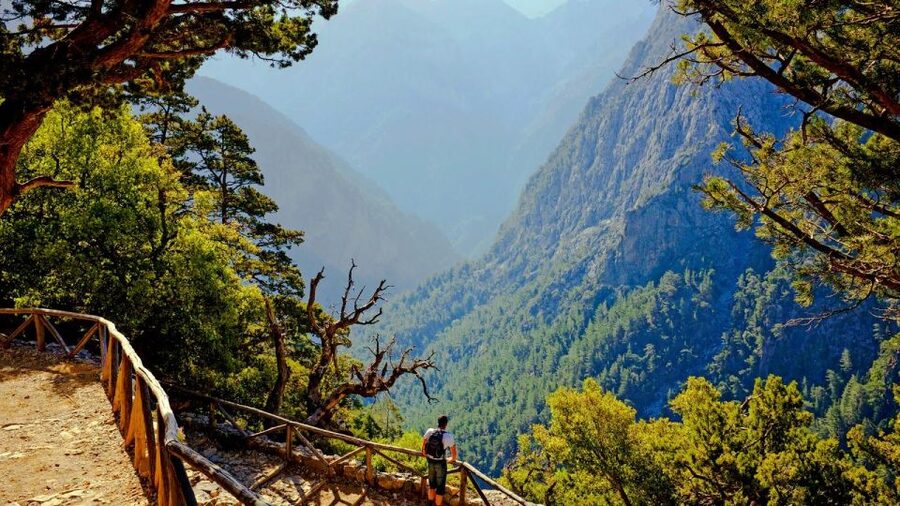 From Rethymno: Samariá Gorge Full-Day Hike - Omalos: The Plateau Setup Before the Gorge