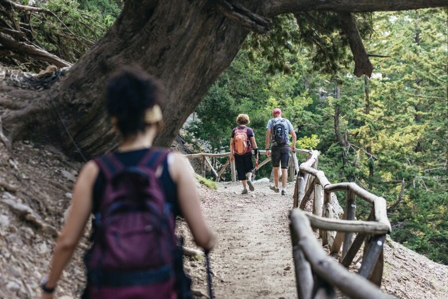 From Rethymno: Samaria Gorge Full-Day Trek, Pickup & Guide - Price and value: what $37 really buys you (and what you pay separately)