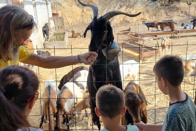 Full Day 4x4 Self-Drive Safari Tour in Crete with BBQ Lunch - Aposelemis Dam and the Roman Aqueduct: Fast Stops With Strong Payoff