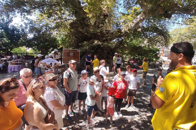 Full Day 4x4 Self-Drive Safari Tour in Crete with BBQ Lunch - First Gear in Malia: Your 4x4 Setup and Beginner Coaching