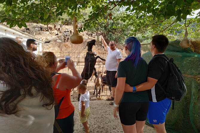 Full-Day Jeep Safari Tour with Cooking Lesson - Ano Kera and the Ebassas Gorge: Herbs, Mountain Views, and Dirt Roads