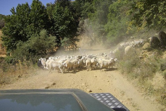 Full-Day Land Rover Safari from Heraklion with Lunch - Krasi and the 2,000-Year-Old Plane Tree Finish