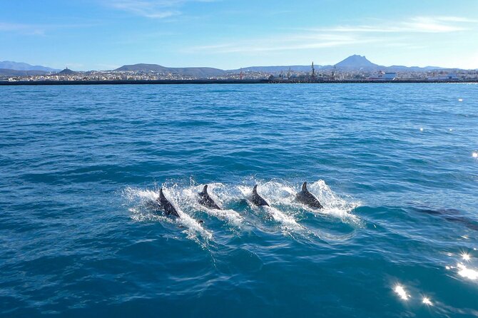 Full Day Private Luxury Escape Sailing - Crew and service: where this private trip feels different