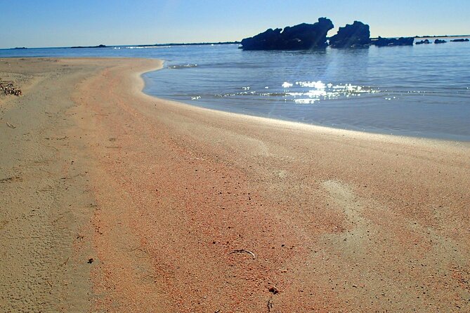 Full Day Private Minivan Tour to Elafonisi Beach and kedrodasos - Safety and flexibility: modern van, escort info, and a day you can shape