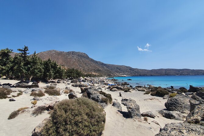 Full-Day Private Tour in Elafonisi Pink Beach - Pickup, timing, and the comfort of a private route