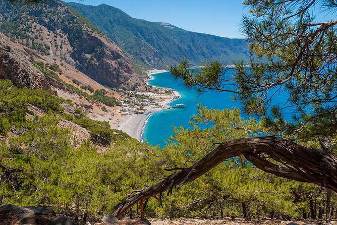 Full-Day Samaria Gorge Chania Guided Tour - Which guide style works best for you