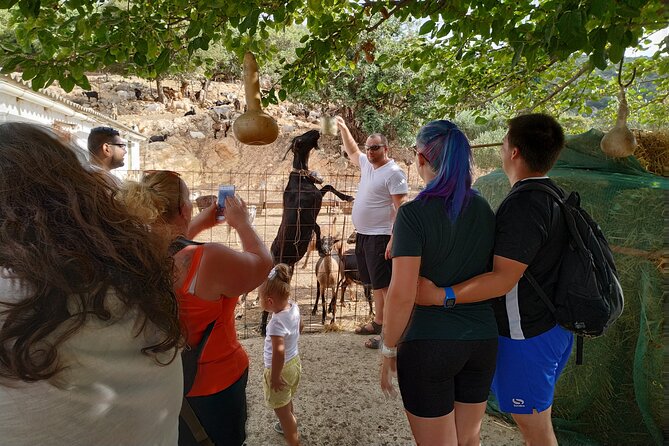Full-Day Small-Group Tour in Crete with Zeus Cave Visit - Ano Kera via Ebassas Gorge: dirt-road views and herb collecting