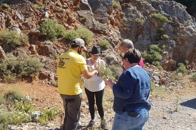 Full-Day Small-Group Tour in Crete with Zeus Cave Visit - Krasi’s plane tree and Mochos views: the finale with wow-factor
