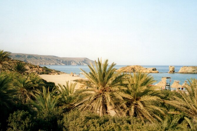 Full-Day Tour to Vai Palm Beach, Toplou Monastery, and Sitia Town - How long is too long? The real-day logistics to think about