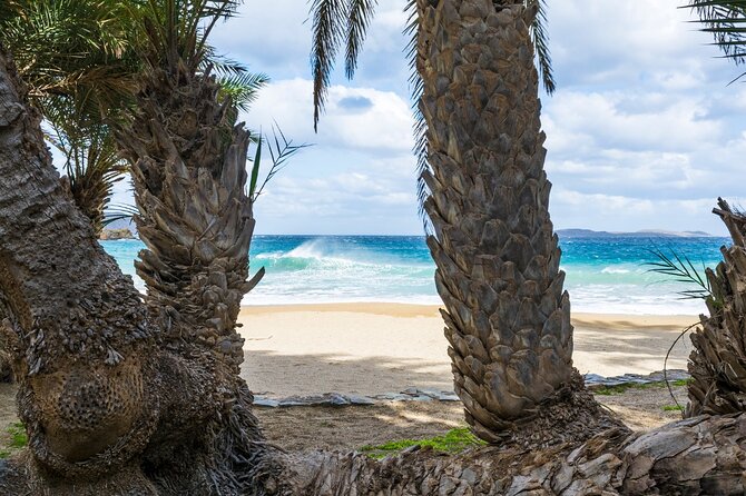 Full-Day Tour to Vai Palm Beach, Toplou Monastery, and Sitia Town - Reviews’ strongest message: you really do see a lot