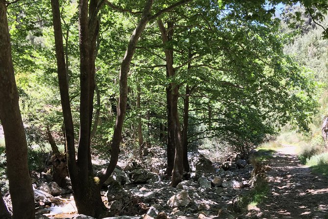 Fygou and Agia Irini Gorge Loop Half Day Hiking Tour - Route Overview: Omalos Valley, Agia Irini, and the Venetian Path