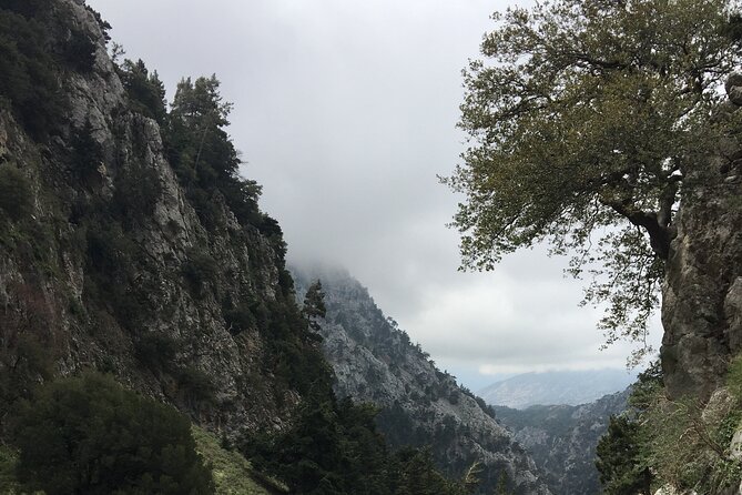 Fygou and Agia Irini Gorge Loop Half Day Hiking Tour - Vasiliki Strata (Venetian Path): When the Walking Changes Texture