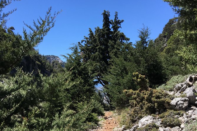 Fygou and Agia Irini Gorge Loop Half Day Hiking Tour - Coffee and Sfakiani Pita With Honey: The Fuel Stop That Counts