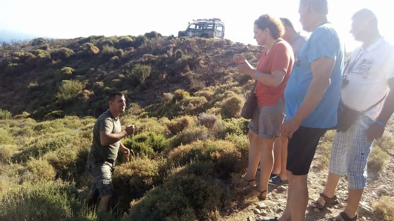 Georgioupolis Half Land Rover Safari - Shepherd Cheese Moment: Learn the Craft Up Close