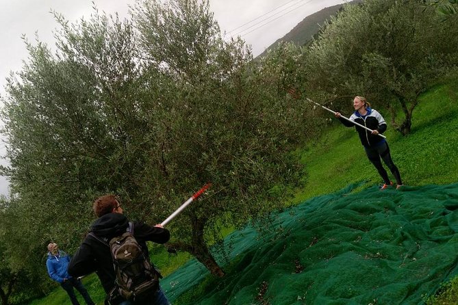 Half-Day Georgioupolis Off-Road Adventure with Meal - Key things I’d circle before you go