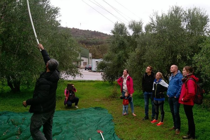 Half-Day Georgioupolis Off-Road Adventure with Meal - Stop 1: Kanakis Olive Oil Mill, Up Close and Personal