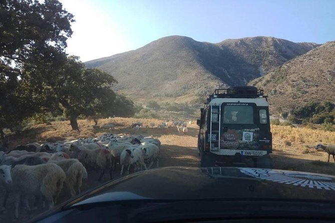 Half-Day Georgioupolis Off-Road Adventure with Meal - Stop 3: Apokoronas Off-Road Climb to 850 Metres and Shepherd Cheese