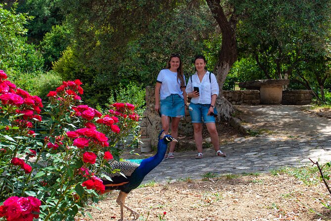 Half-Day Private Tour & Picnic in Real Cretan Countryside Retreat - Stop 3: Prinias pass and Agios Panteleimonas cliff-top views