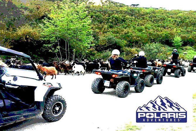 Half-Day Rethymno Quad Safari - Prassano Gorge: Quick Views and Bird-Watching Momentum