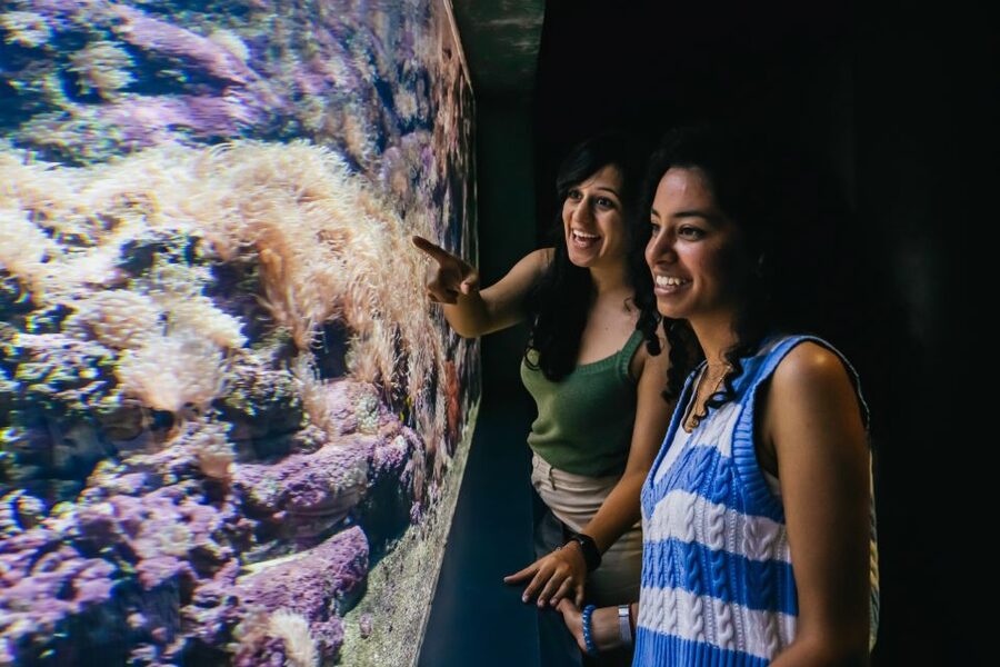 Heraklion Area: CRETAquarium Admission Ticket - Audio guide and signage: learning without the lecture vibe